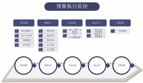 广州市正成信息科技有限公司 产品中心 > 华南预算执行软件开发